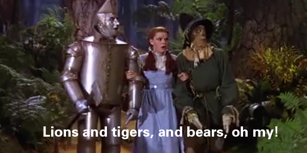 Creativity and the Wizard of Oz